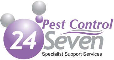 Pest Control 24 Seven